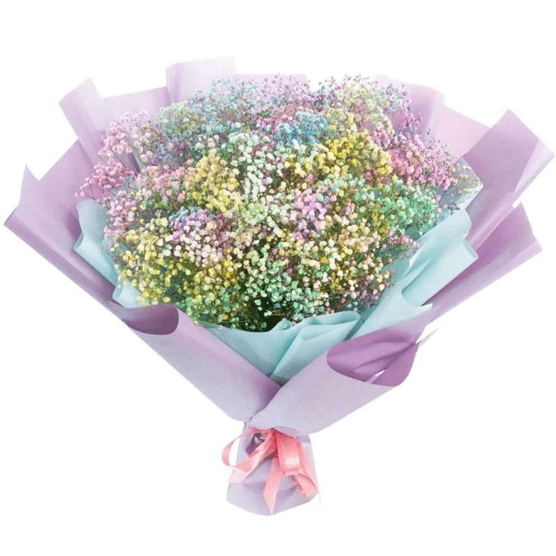 Гипсофила микс №1